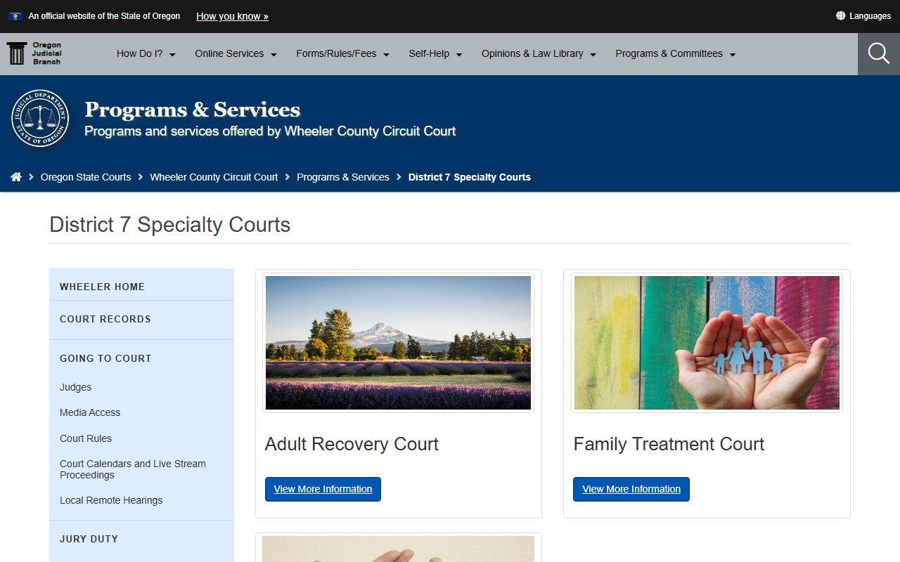 Wheeler County court dockets connected to District 7 Specialty Courts
